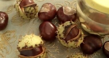 The use of horse chestnuts to treat varicose veins